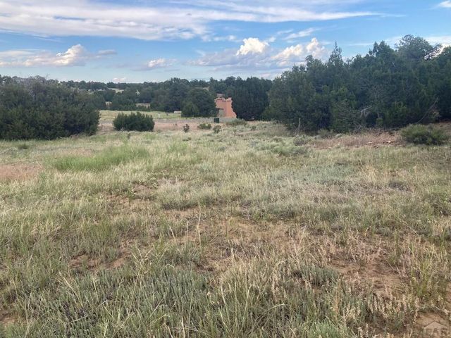 L29 B1 Black Diamond Dr, Walsenburg, CO 81089