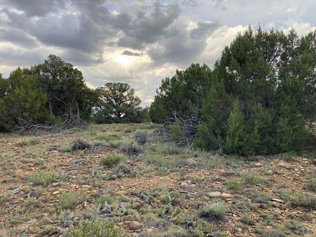 L29 B1 Black Diamond Dr, Walsenburg, CO 81089