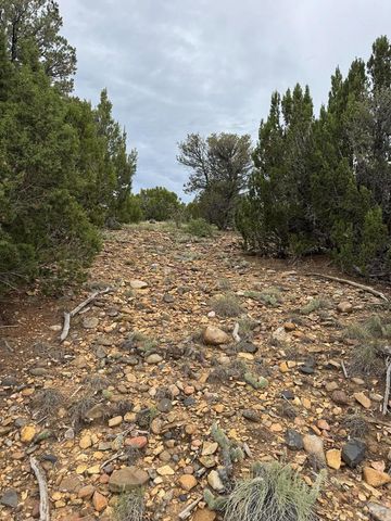 L29 B1 Black Diamond Dr, Walsenburg, CO 81089