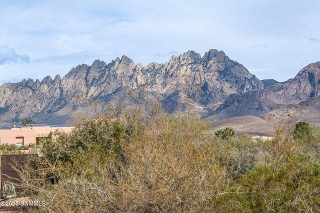 8801 Silk Oak Court, Las Cruces, NM 88011