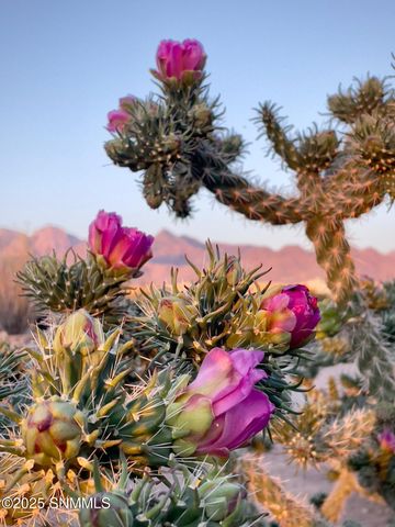 8801 Silk Oak Court, Las Cruces, NM 88011