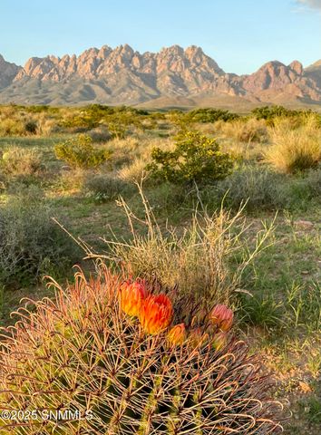 8801 Silk Oak Court, Las Cruces, NM 88011