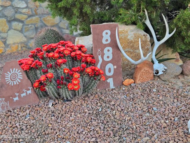 8801 Silk Oak Court, Las Cruces, NM 88011