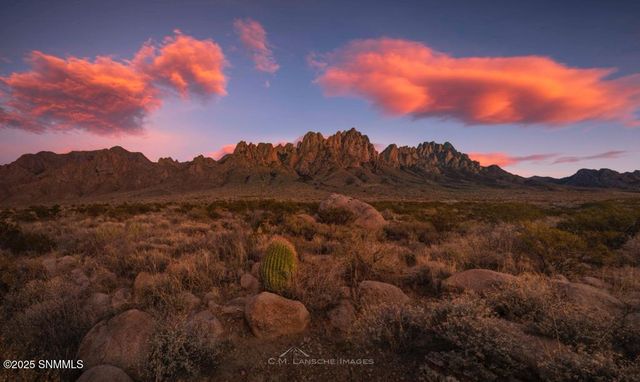 8801 Silk Oak Court, Las Cruces, NM 88011