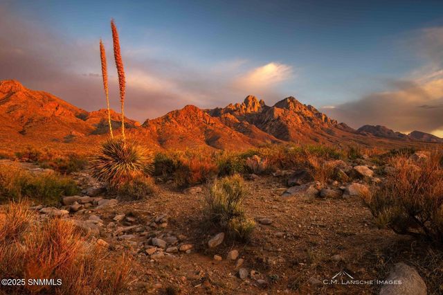 8801 Silk Oak Court, Las Cruces, NM 88011