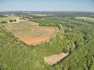 155.33 Acres County Road 1, Daleville, AL 36322