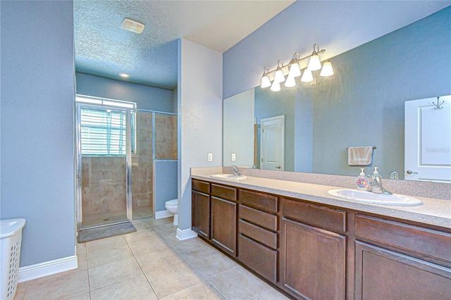 11308 WICKERSLEY PLACE, Tampa, FL 33625