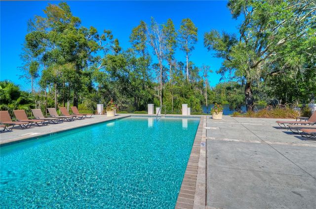 11308 WICKERSLEY PLACE, Tampa, FL 33625