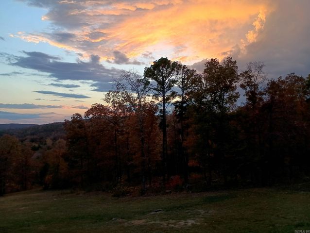 16350 HWY 110, Shirley, AR 72153