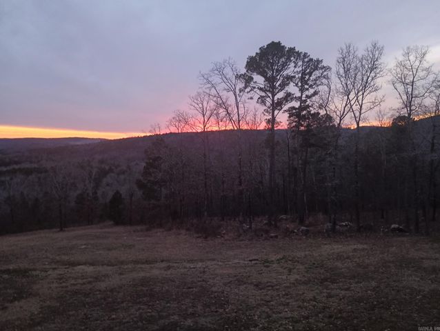 16350 HWY 110, Shirley, AR 72153