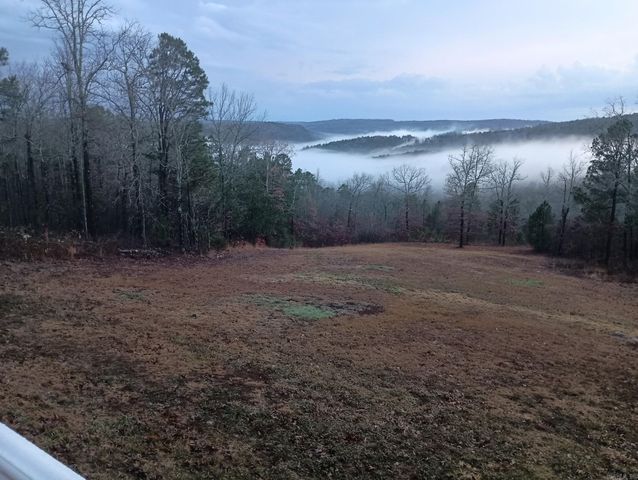 16350 HWY 110, Shirley, AR 72153