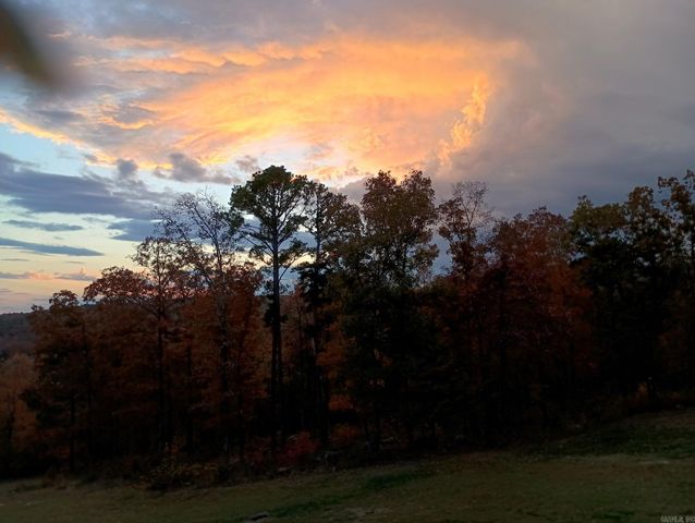 16350 HWY 110, Shirley, AR 72153