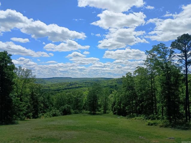 16350 HWY 110, Shirley, AR 72153