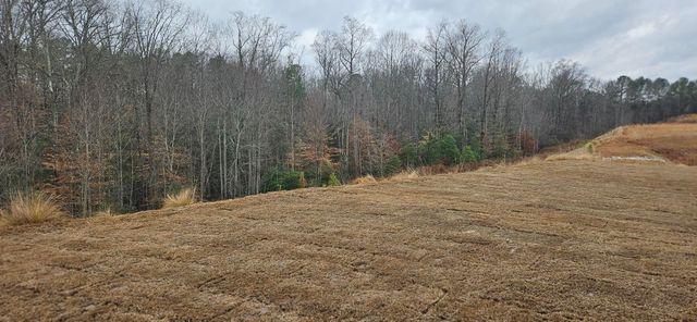 410 Ecton Place, Greenville, SC 29605