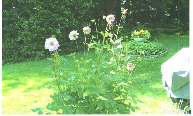 419 Heritage Village E, Southbury, CT 06488