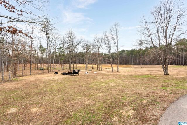 253 KENYON DRIVE, Ohatchee, AL 36271