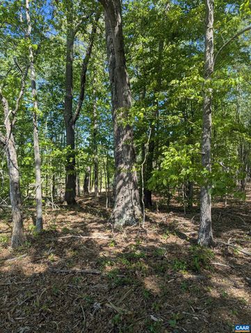 Lot 4 HORIZON DR, Ruckersville, VA 22968