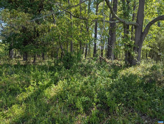 Lot 4 HORIZON DR, Ruckersville, VA 22968