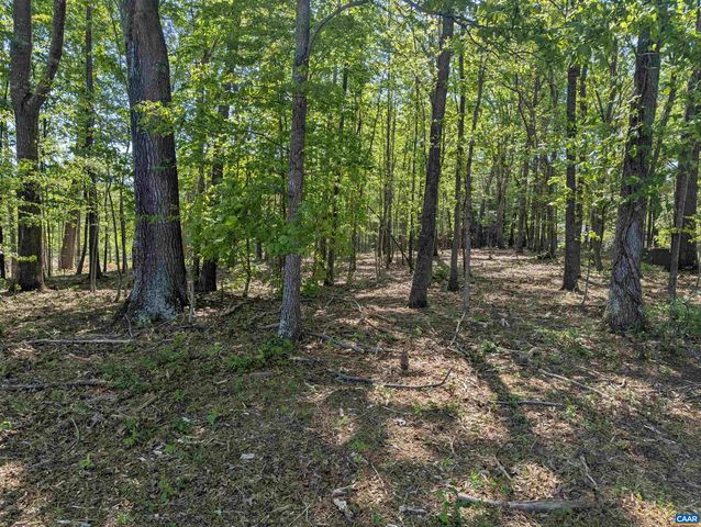 Lot 4 HORIZON DR, Ruckersville, VA 22968