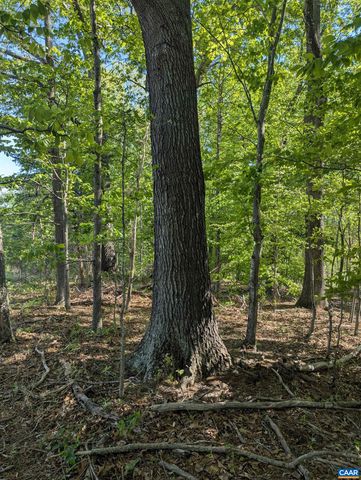 Lot 4 HORIZON DR, Ruckersville, VA 22968