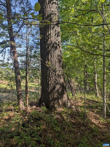 Lot 4 HORIZON DR, Ruckersville, VA 22968