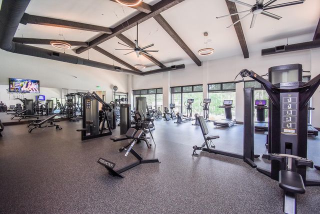 26414 Jacks Barn Road, Montgomery, TX 77316