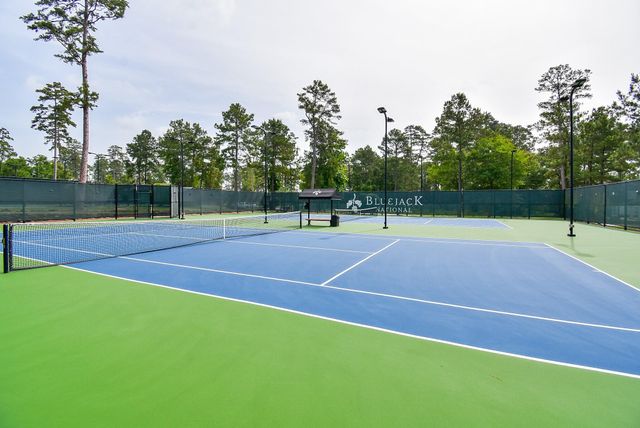 26414 Jacks Barn Road, Montgomery, TX 77316