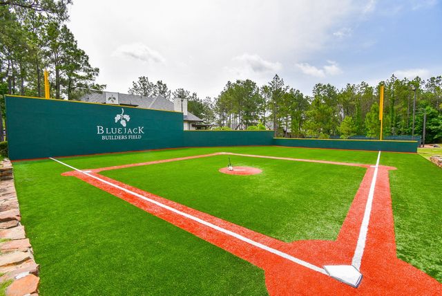 26414 Jacks Barn Road, Montgomery, TX 77316