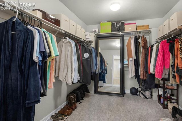 7052 Bramble Bluff Court, Colorado Springs, CO 80927