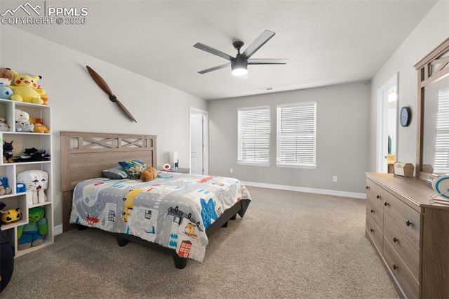 7052 Bramble Bluff Court, Colorado Springs, CO 80927