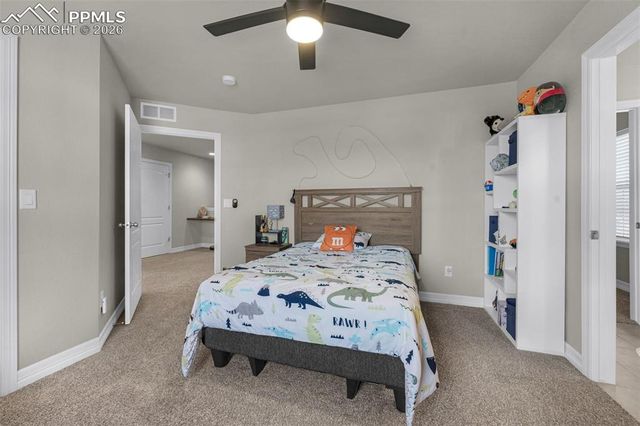 7052 Bramble Bluff Court, Colorado Springs, CO 80927