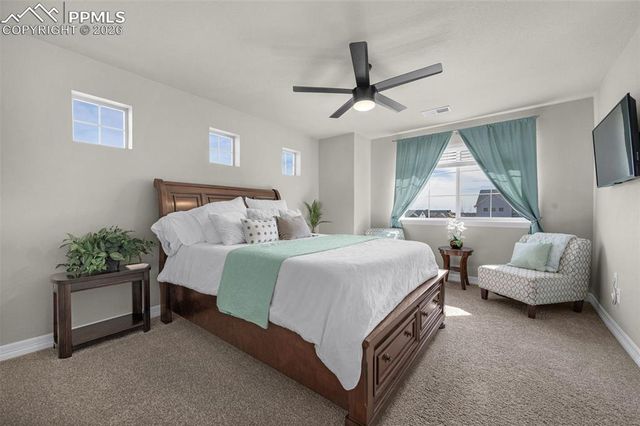 7052 Bramble Bluff Court, Colorado Springs, CO 80927