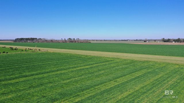 Lot 14 Davis Pond Road, Atmore, AL 36502