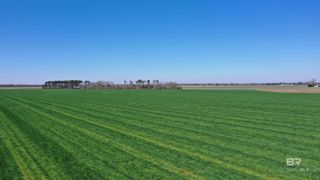 Lot 14 Davis Pond Road, Atmore, AL 36502