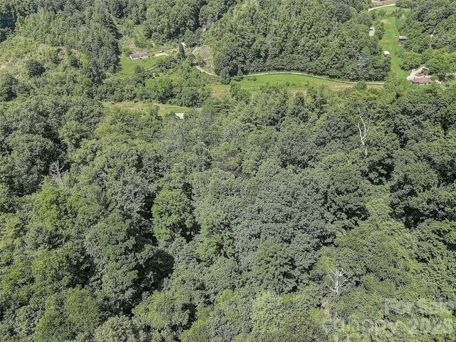 1820 Grapevine Road, Marshall, NC 28753