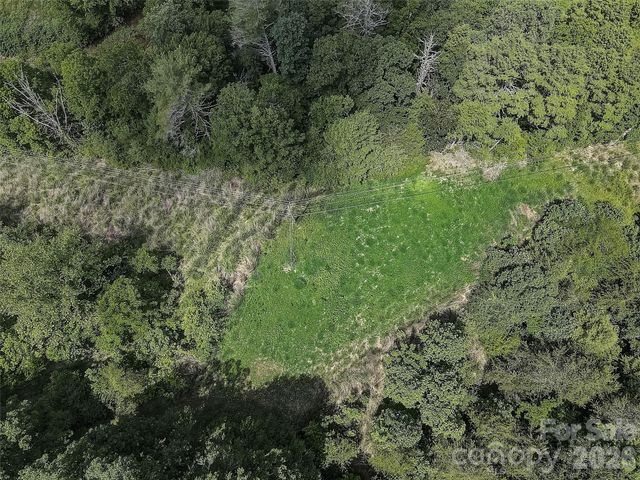 1820 Grapevine Road, Marshall, NC 28753