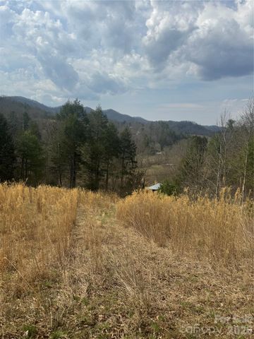 1820 Grapevine Road, Marshall, NC 28753