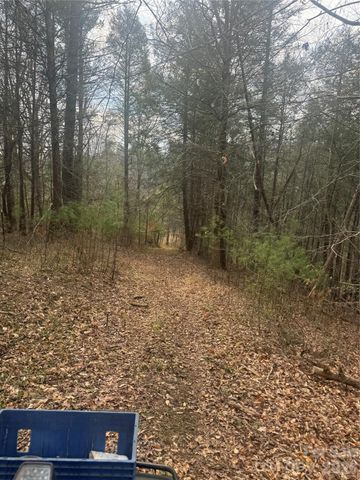 1820 Grapevine Road, Marshall, NC 28753