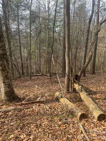 1820 Grapevine Road, Marshall, NC 28753