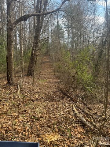 1820 Grapevine Road, Marshall, NC 28753