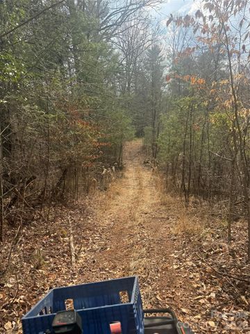 1820 Grapevine Road, Marshall, NC 28753