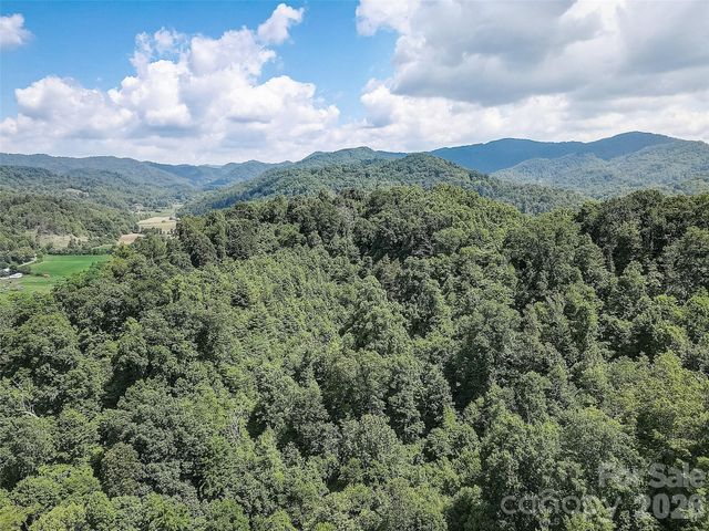 1820 Grapevine Road, Marshall, NC 28753