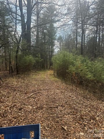 1820 Grapevine Road, Marshall, NC 28753