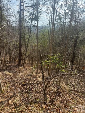 1820 Grapevine Road, Marshall, NC 28753