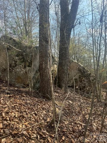 1820 Grapevine Road, Marshall, NC 28753