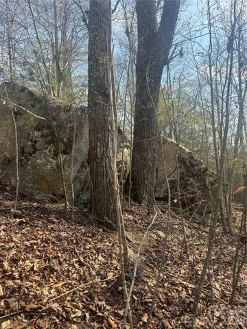 1820 Grapevine Road, Marshall, NC 28753