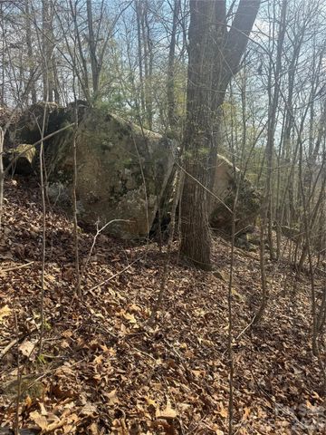 1820 Grapevine Road, Marshall, NC 28753