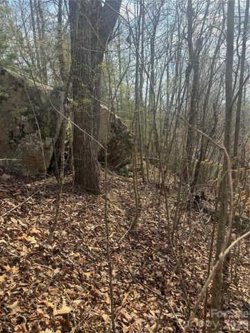 1820 Grapevine Road, Marshall, NC 28753