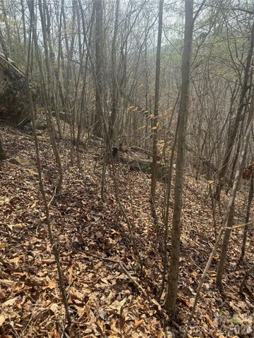 1820 Grapevine Road, Marshall, NC 28753