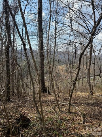 1820 Grapevine Road, Marshall, NC 28753